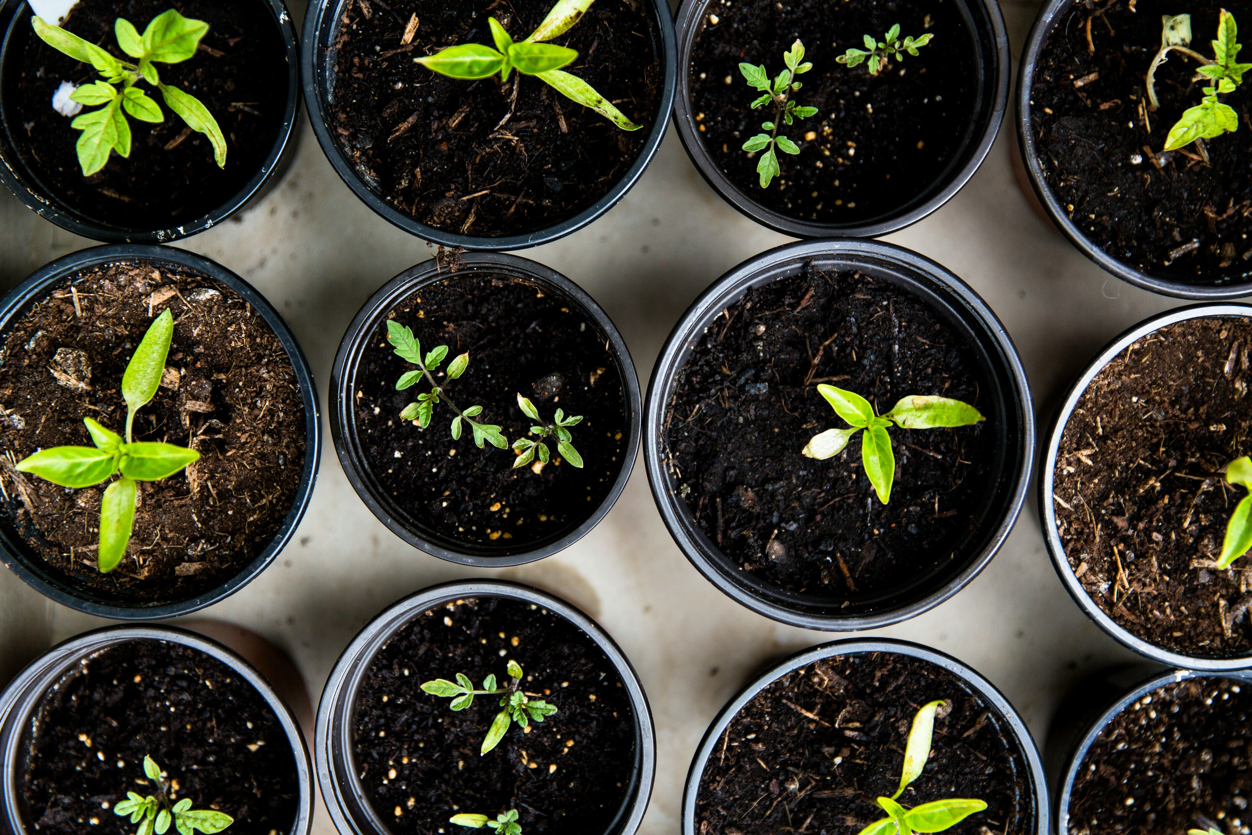 How to Create Your Own 3D Printed Gardening Tools